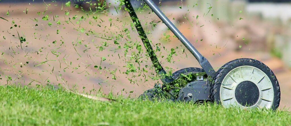 lawn mower, grass, cutting, cutting grass, lawn, hand lawn mower, lawn mowing, mow, meadow, manual operation, green, nature, blades of grass, grass blades, lawn mower, lawn mower, lawn mower, lawn, lawn, lawn, lawn, lawn, lawn mowing
