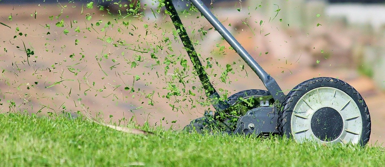 lawn mower, grass, cutting, cutting grass, lawn, hand lawn mower, lawn mowing, mow, meadow, manual operation, green, nature, blades of grass, grass blades, lawn mower, lawn mower, lawn mower, lawn, lawn, lawn, lawn, lawn, lawn mowing