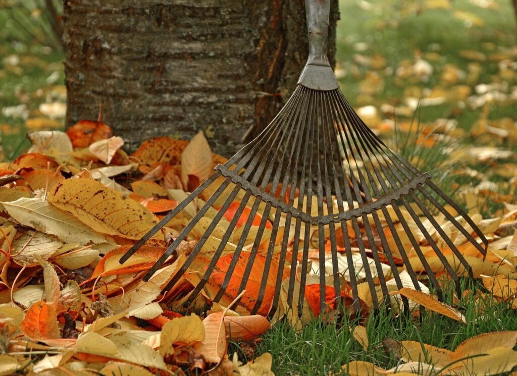 computing, raking leaves, tool, garden, gardening, nature, fall, leaves, autumn leaves, gardener