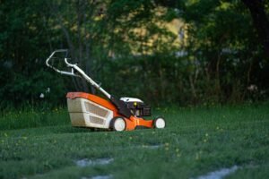 A lawn mower sits on a green lawn in a backyard, ready for yard work.