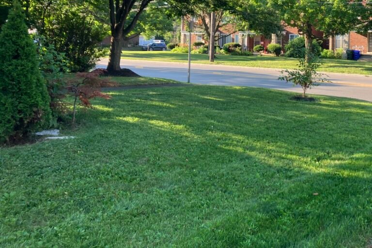 lawn mowing